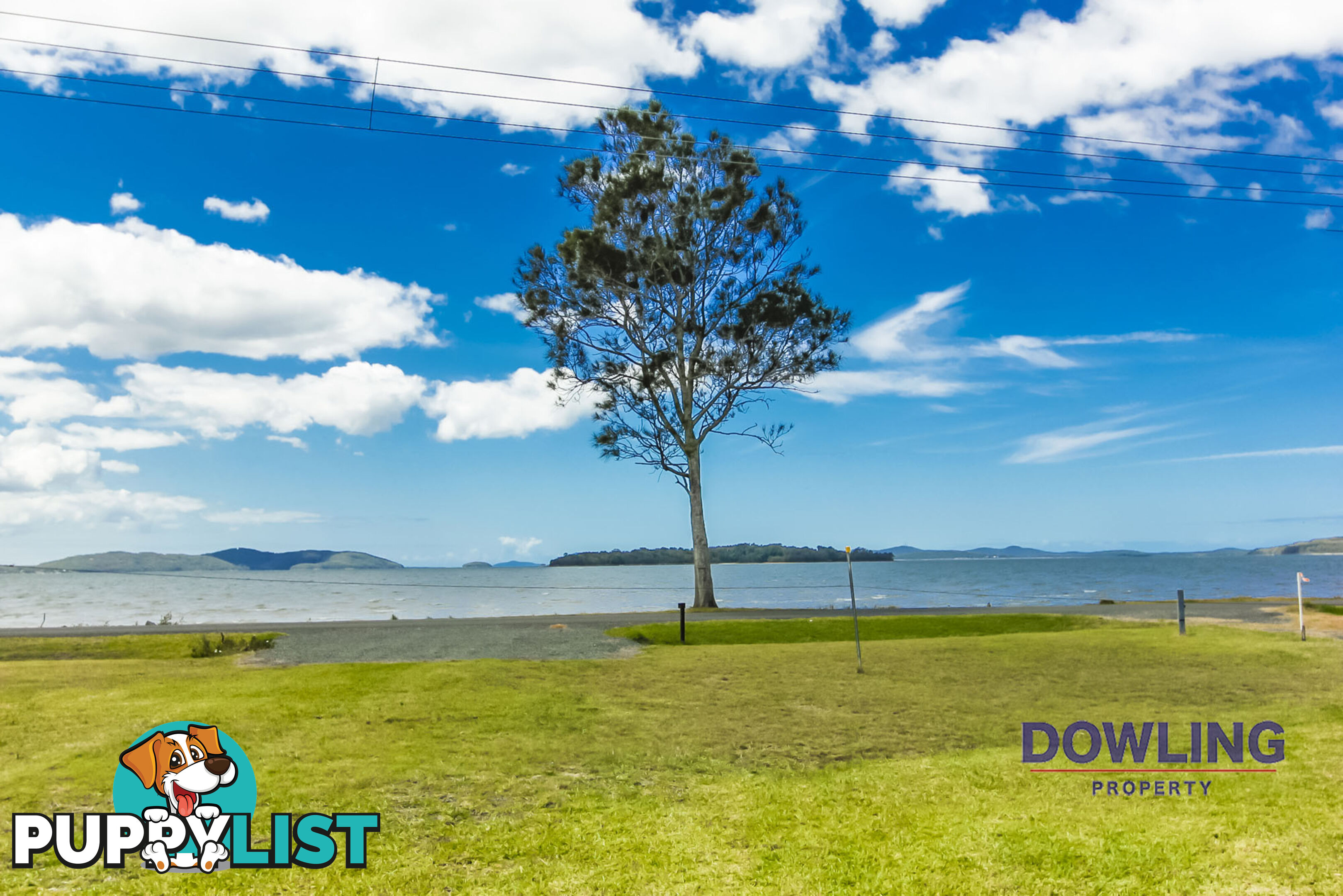 63 Waterfront Road SWAN BAY NSW 2324