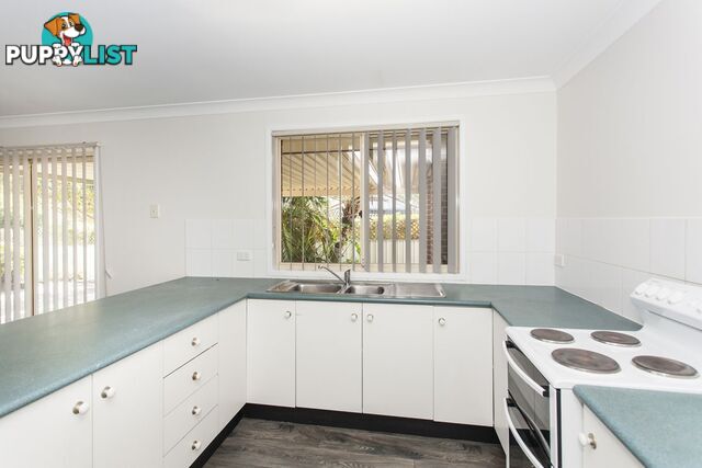 146 Coachwood Drive MEDOWIE NSW 2318