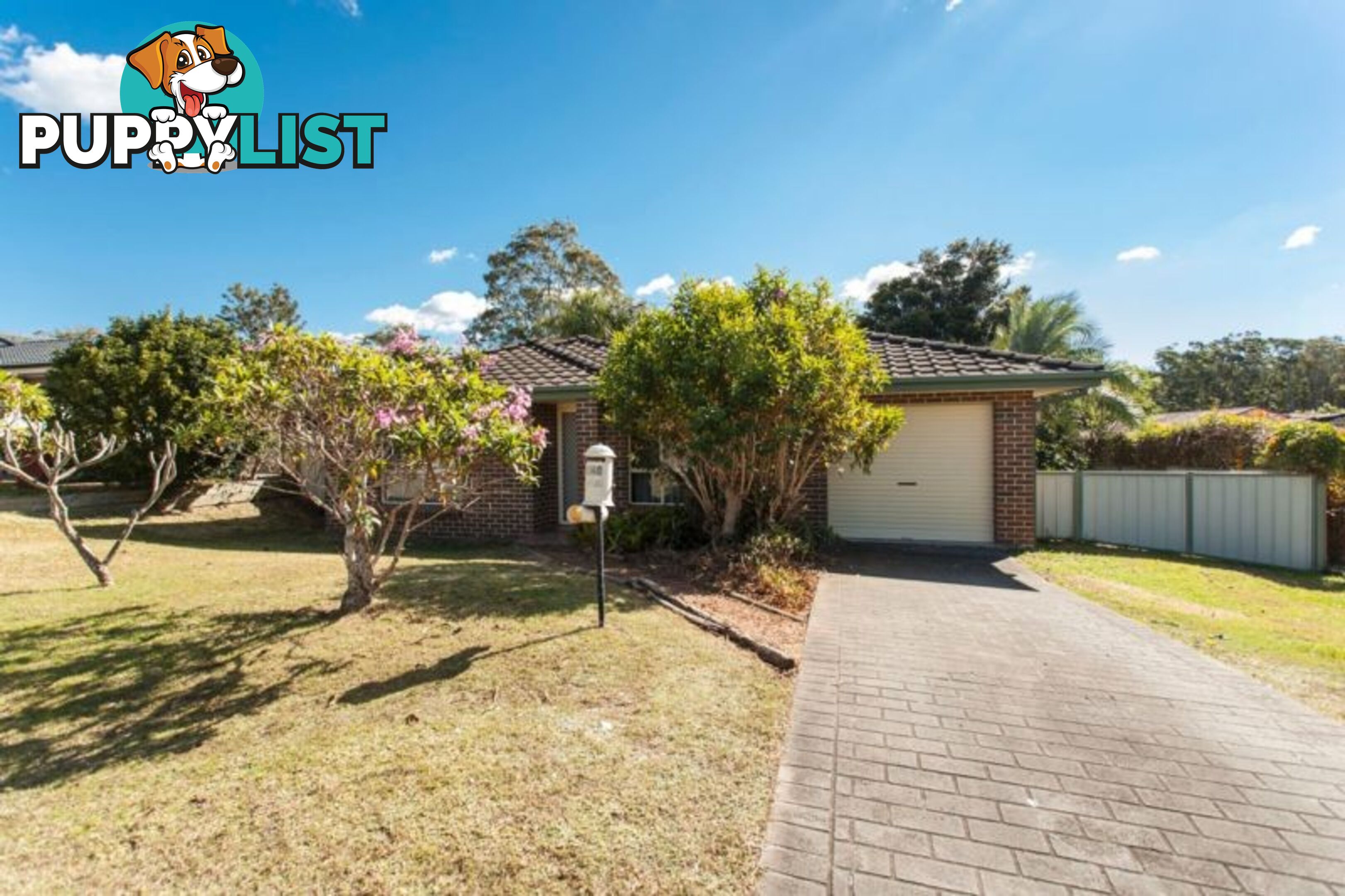 146 Coachwood Drive MEDOWIE NSW 2318