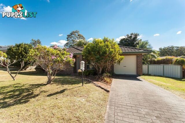 146 Coachwood Drive MEDOWIE NSW 2318