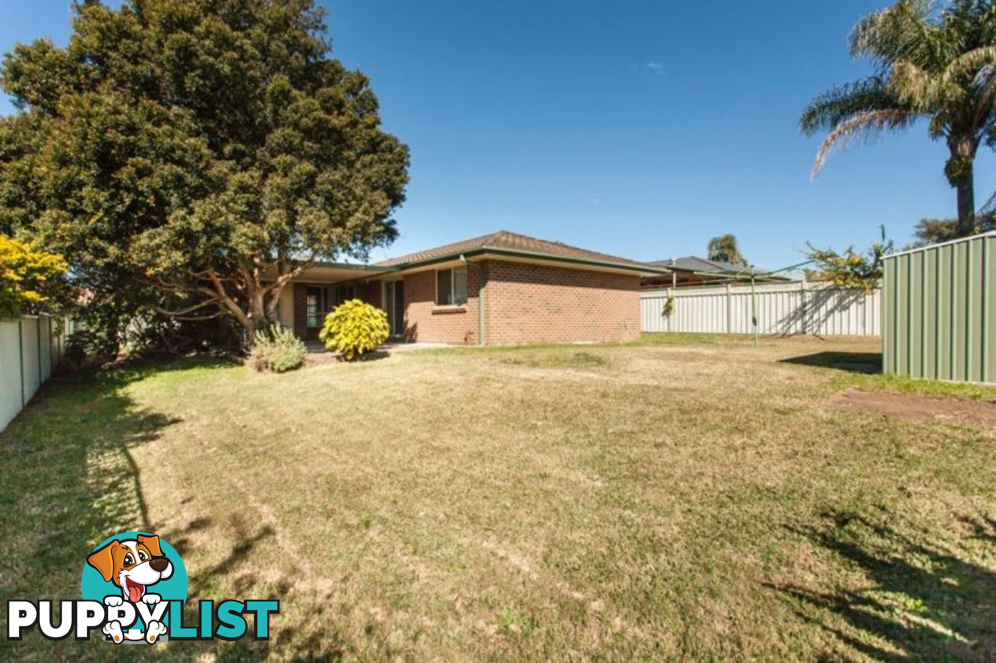 146 Coachwood Drive MEDOWIE NSW 2318