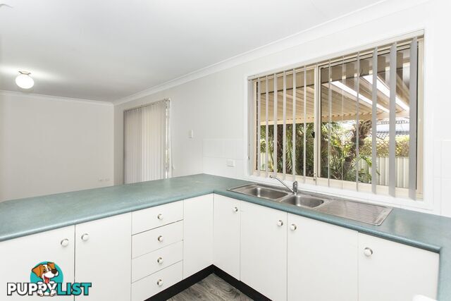 146 Coachwood Drive MEDOWIE NSW 2318