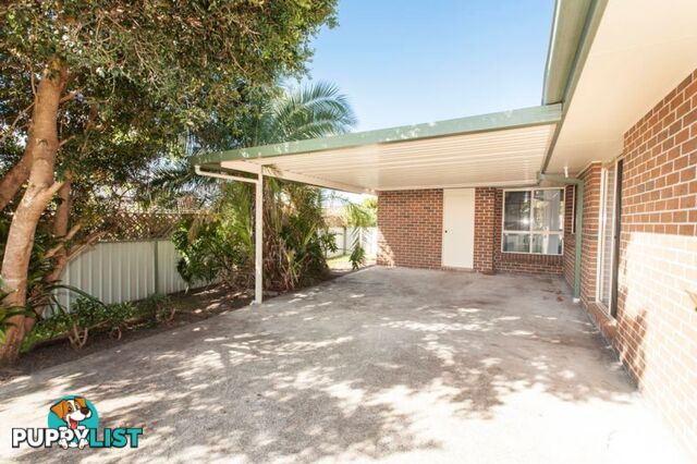 146 Coachwood Drive MEDOWIE NSW 2318