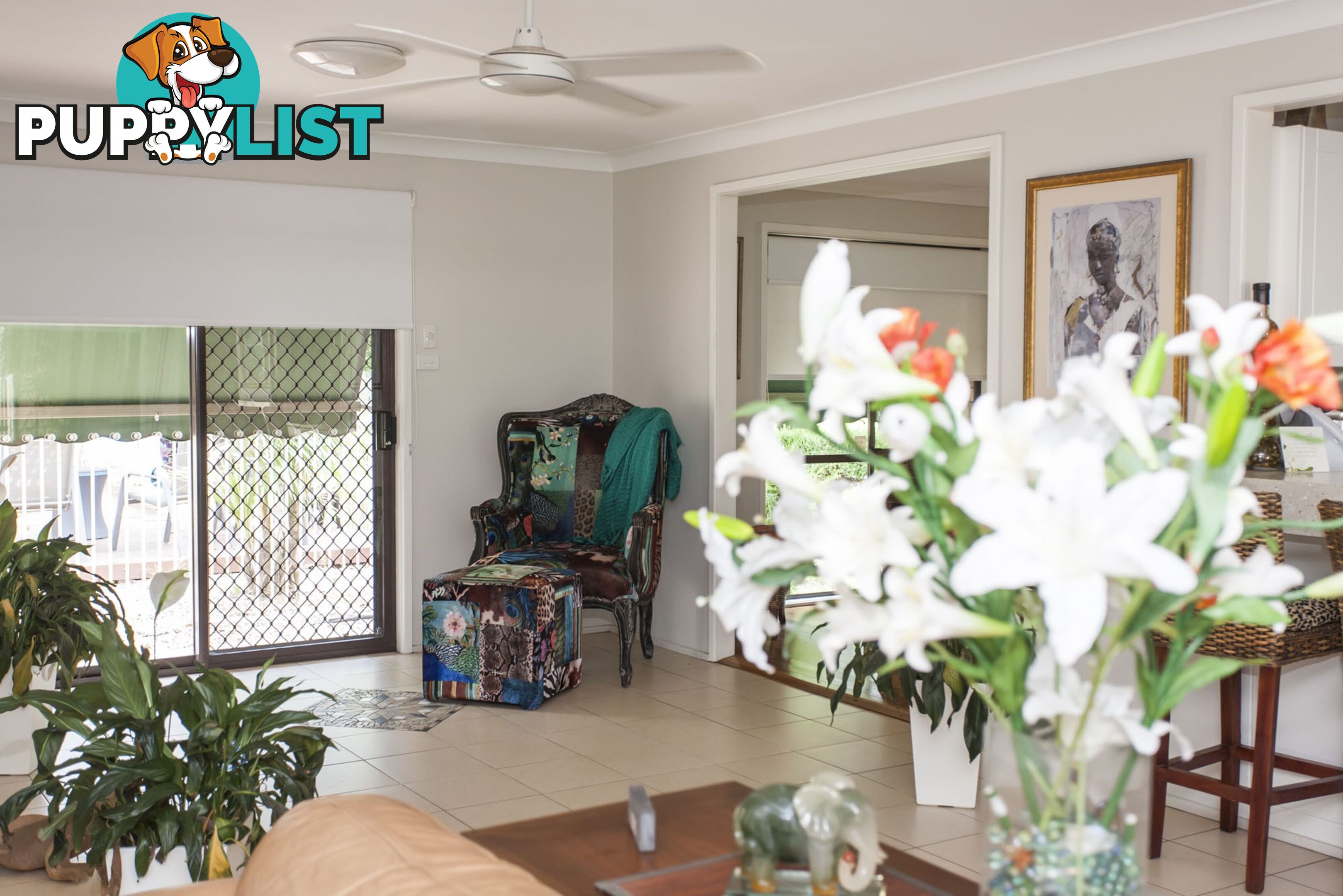 11 Hideaway Drive SALT ASH NSW 2318