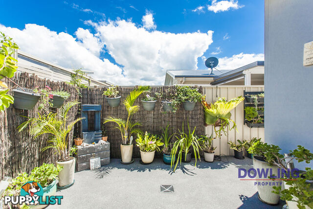 100/1117 Nelson Bay Road FERN BAY NSW 2295