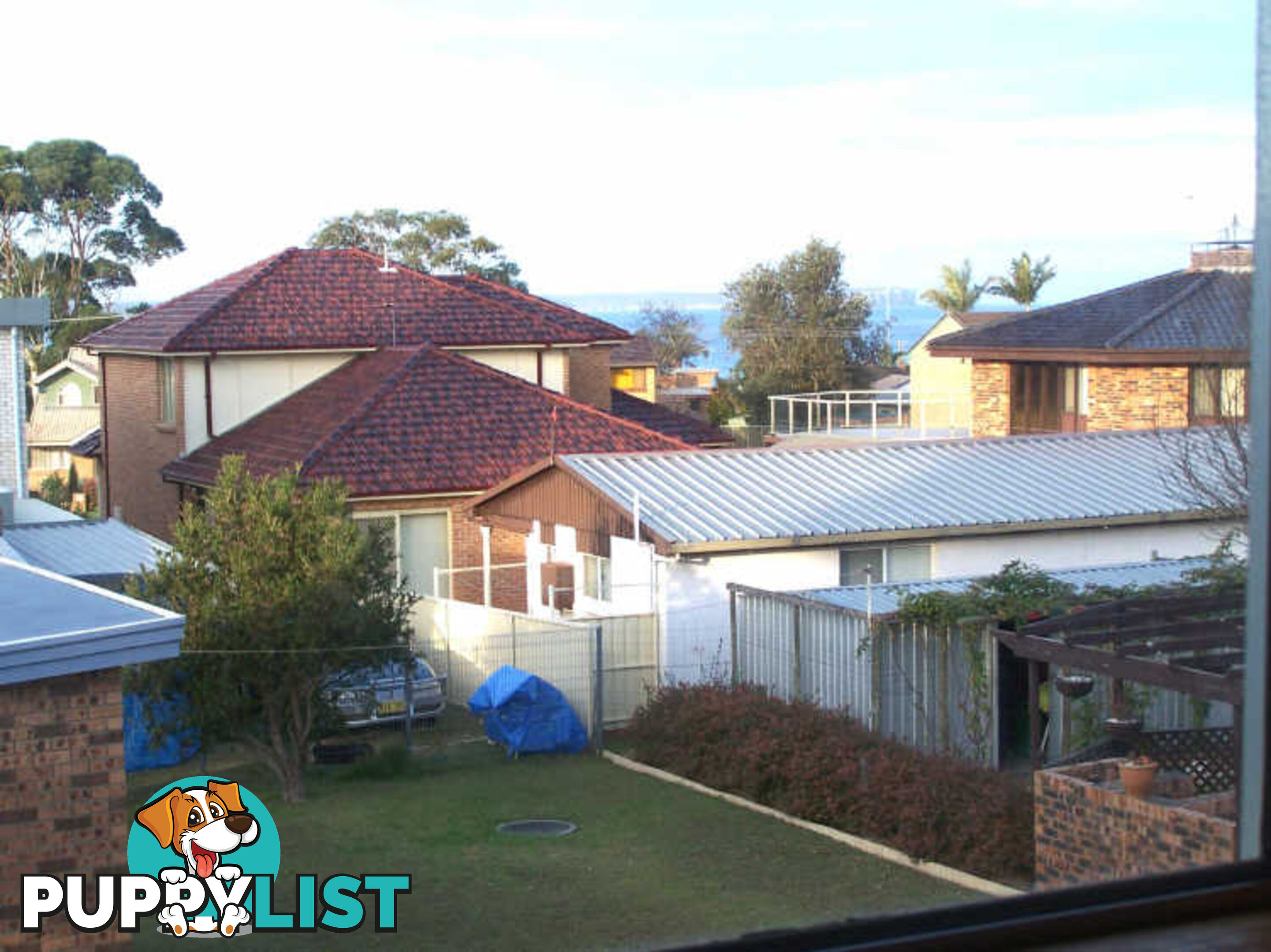 16 Lambs Crescent  NSW 2540