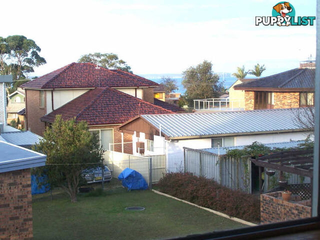 16 Lambs Crescent  NSW 2540