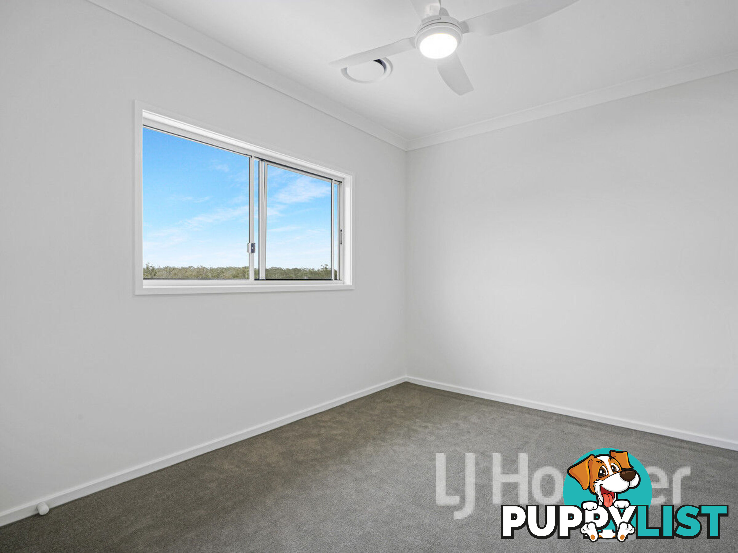 21 Seagrass Avenue VINCENTIA NSW 2540