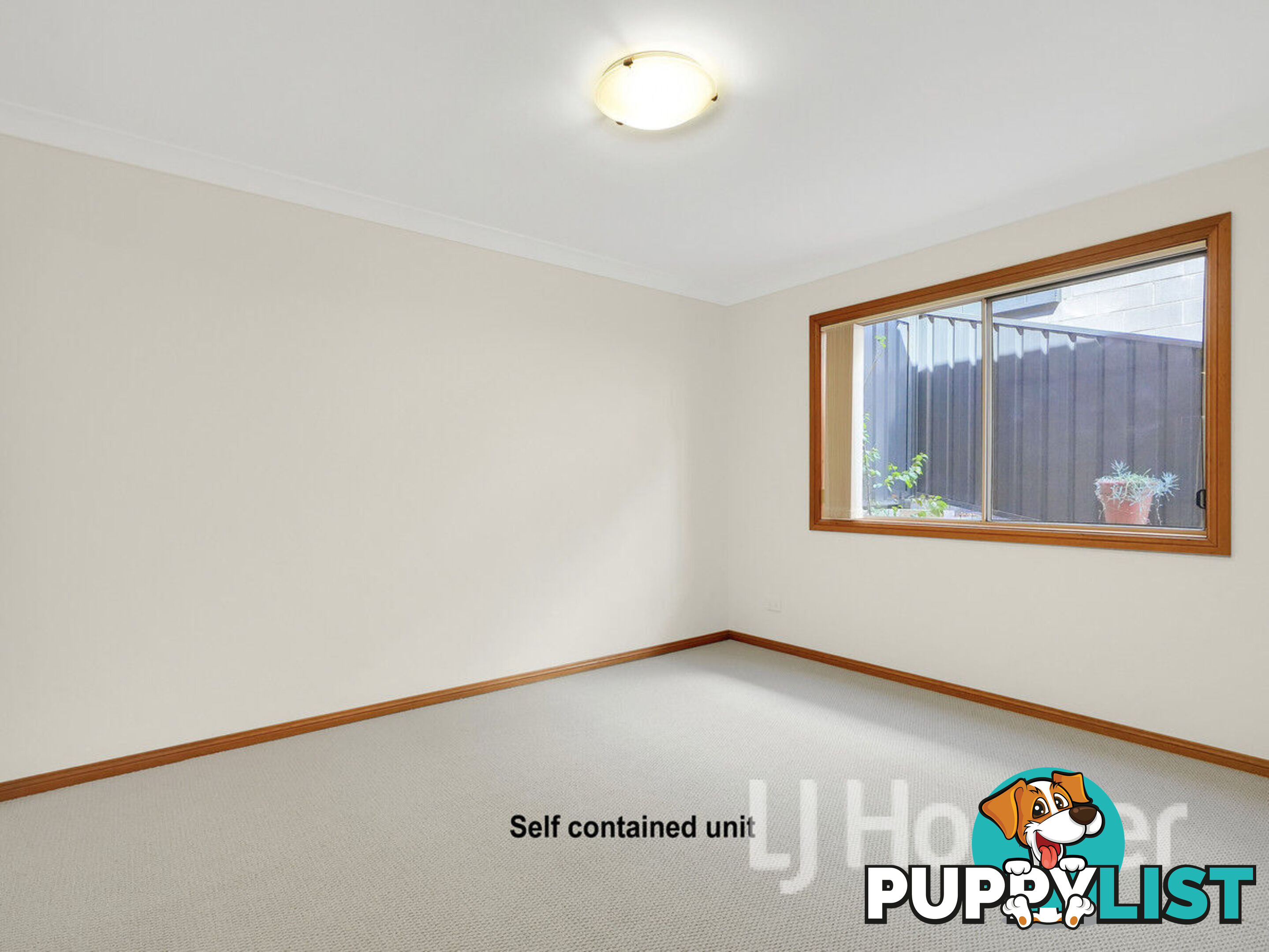 165 Elizabeth Drive VINCENTIA NSW 2540