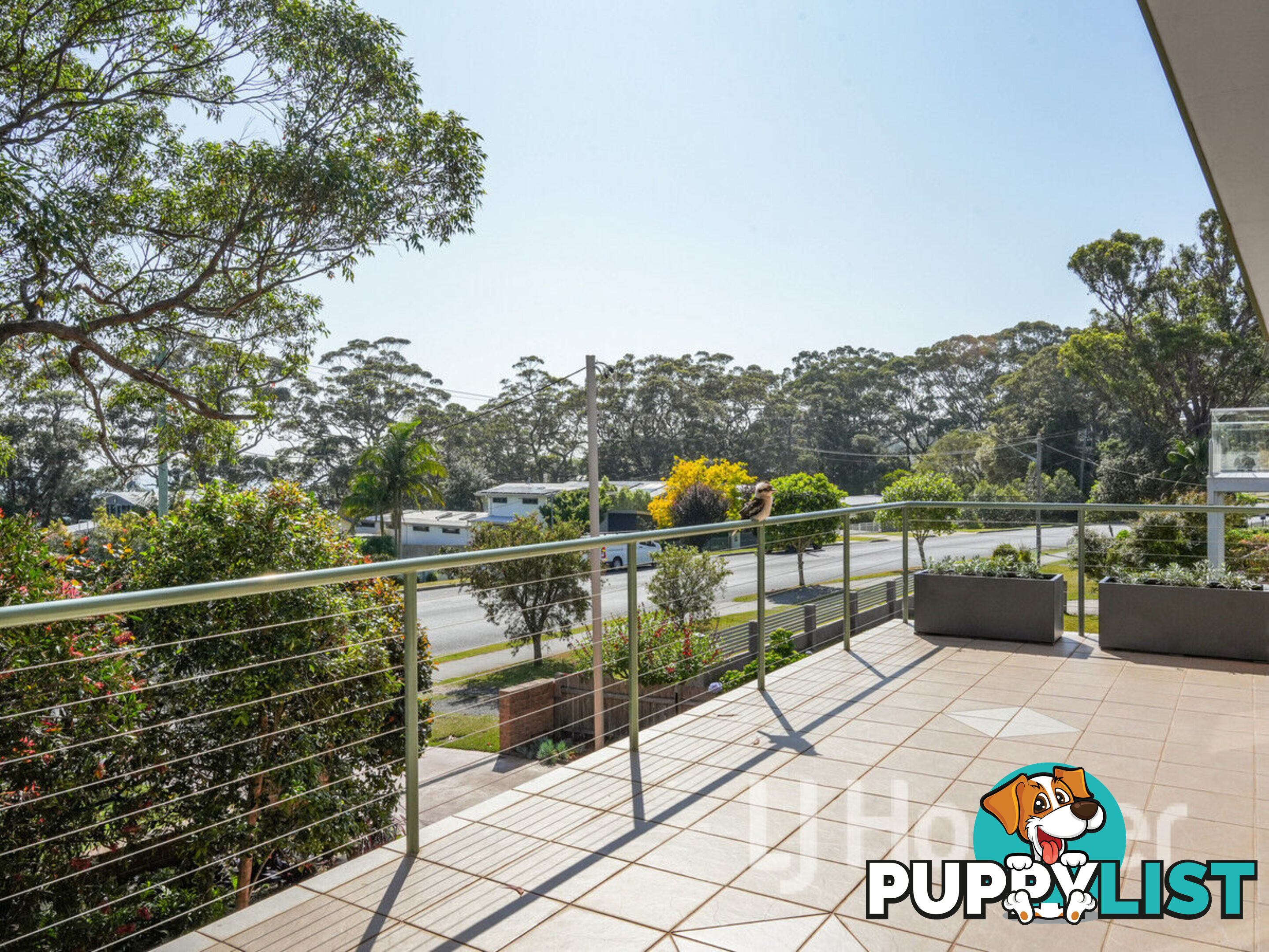 165 Elizabeth Drive VINCENTIA NSW 2540