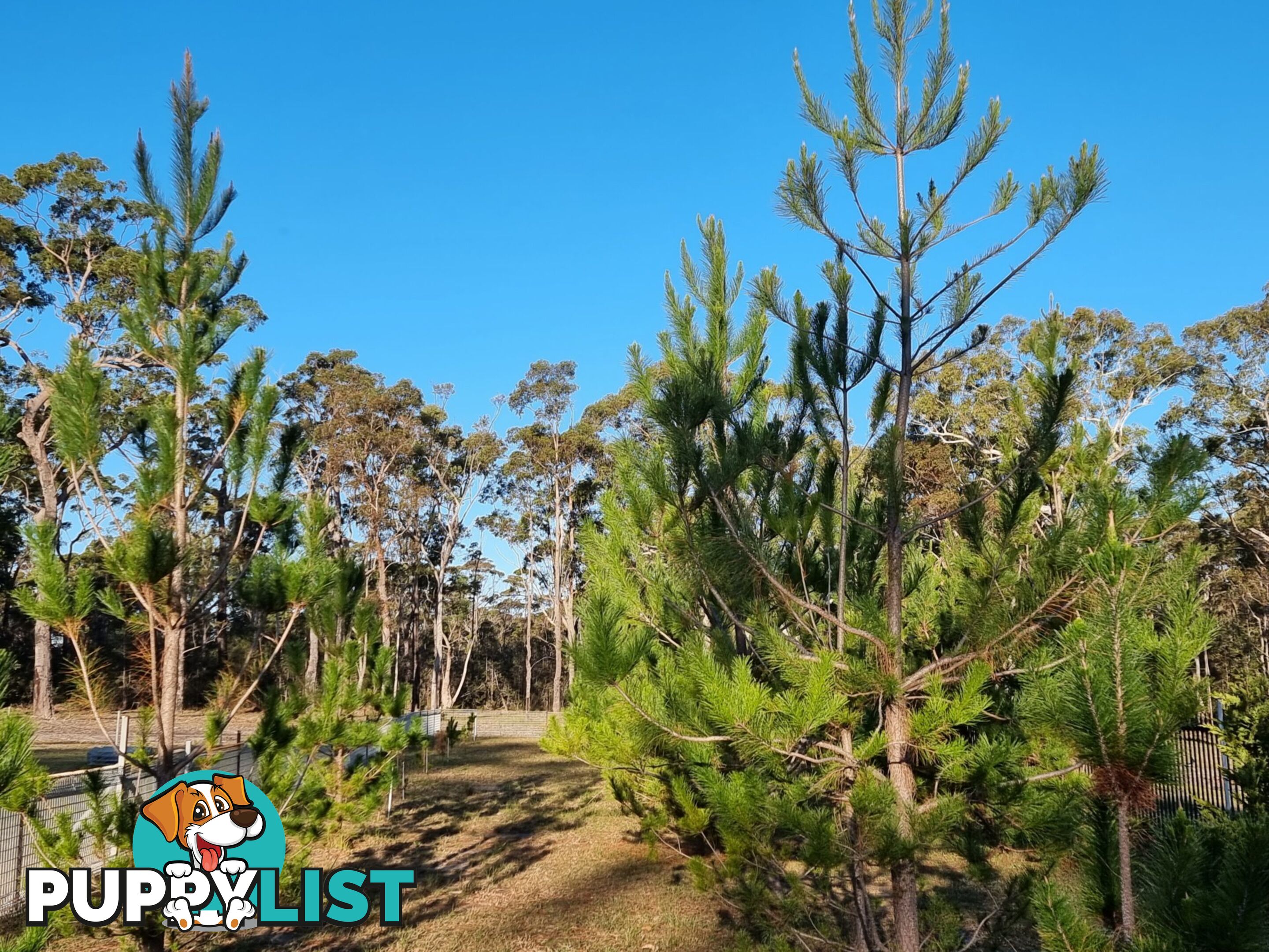 Lot 20 Wandra Road SUSSEX INLET NSW 2540