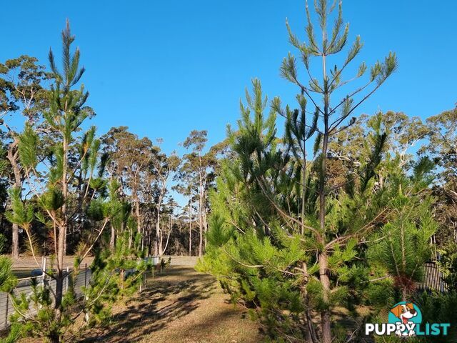 Lot 20 Wandra Road SUSSEX INLET NSW 2540