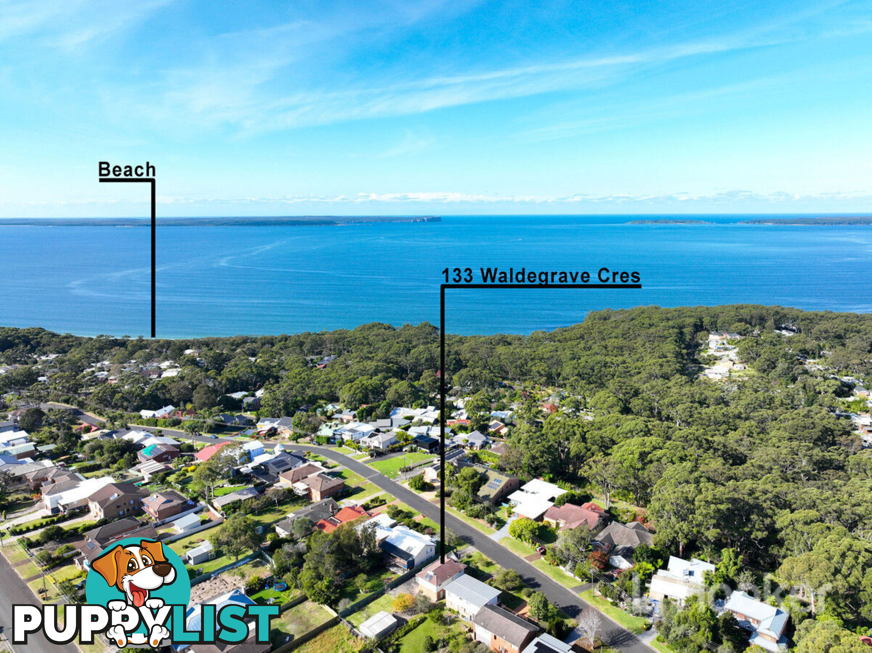 133 Waldegrave Crescent VINCENTIA NSW 2540