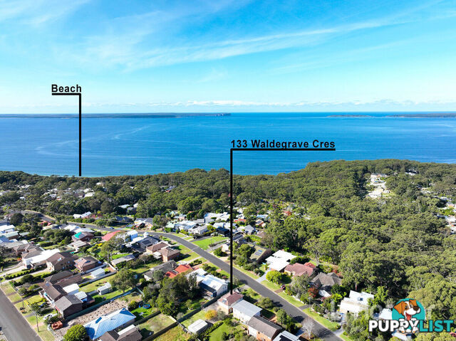 133 Waldegrave Crescent VINCENTIA NSW 2540