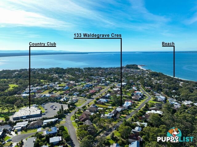 133 Waldegrave Crescent VINCENTIA NSW 2540