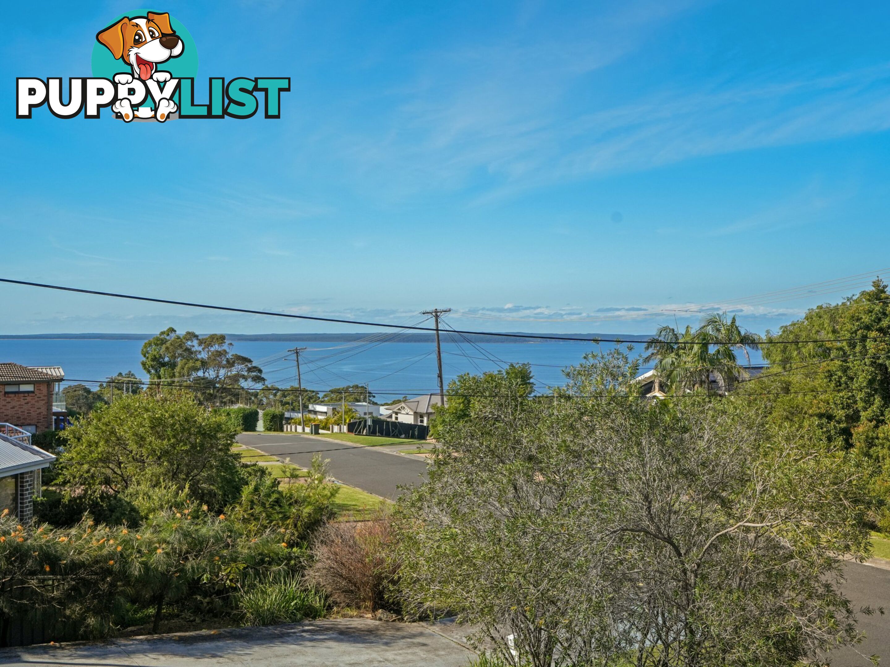 133 Waldegrave Crescent VINCENTIA NSW 2540