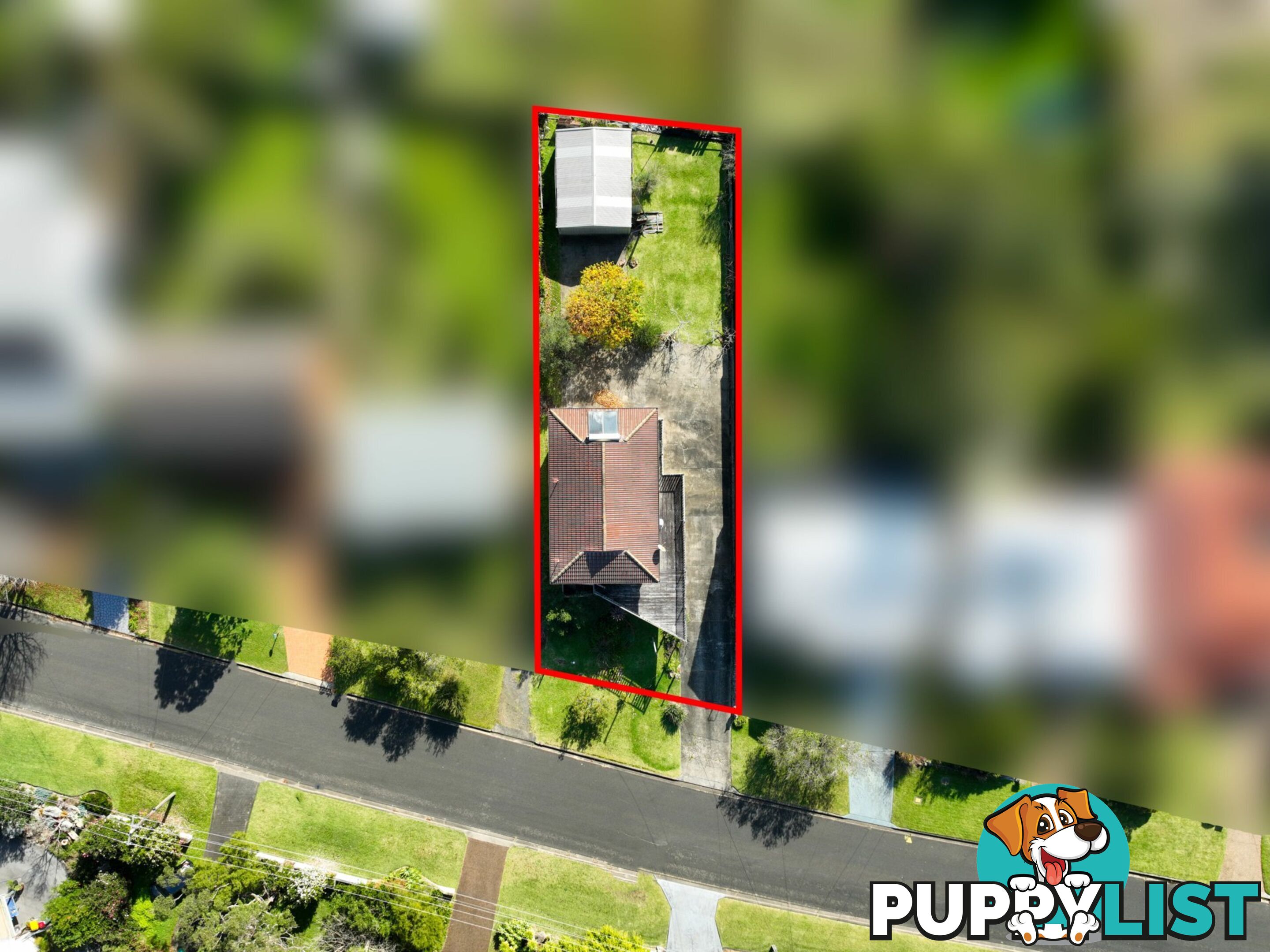 133 Waldegrave Crescent VINCENTIA NSW 2540