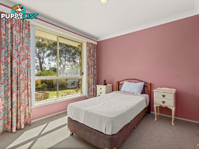 20 Niger Street  NSW 2540