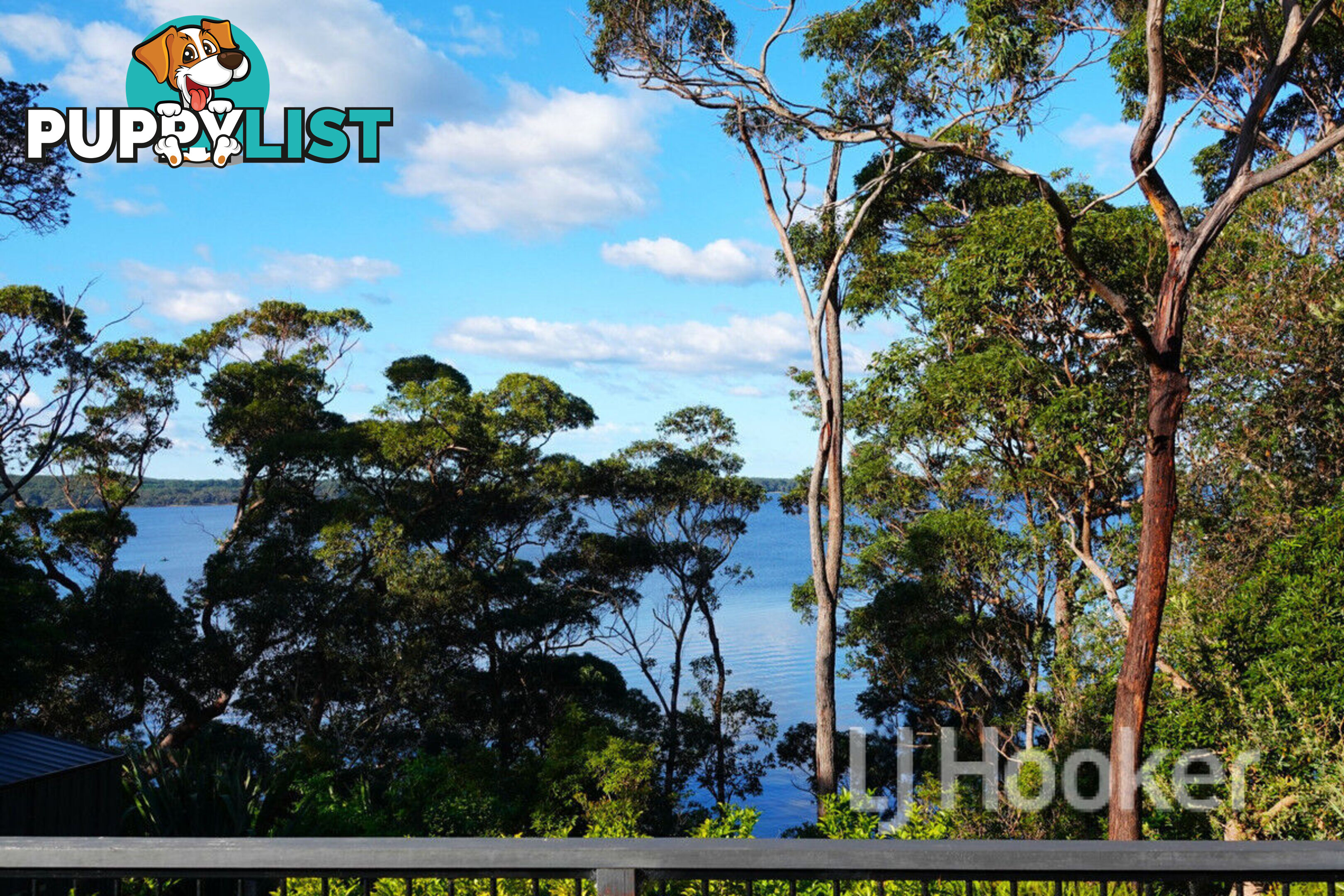 204 Greville Avenue SANCTUARY POINT NSW 2540