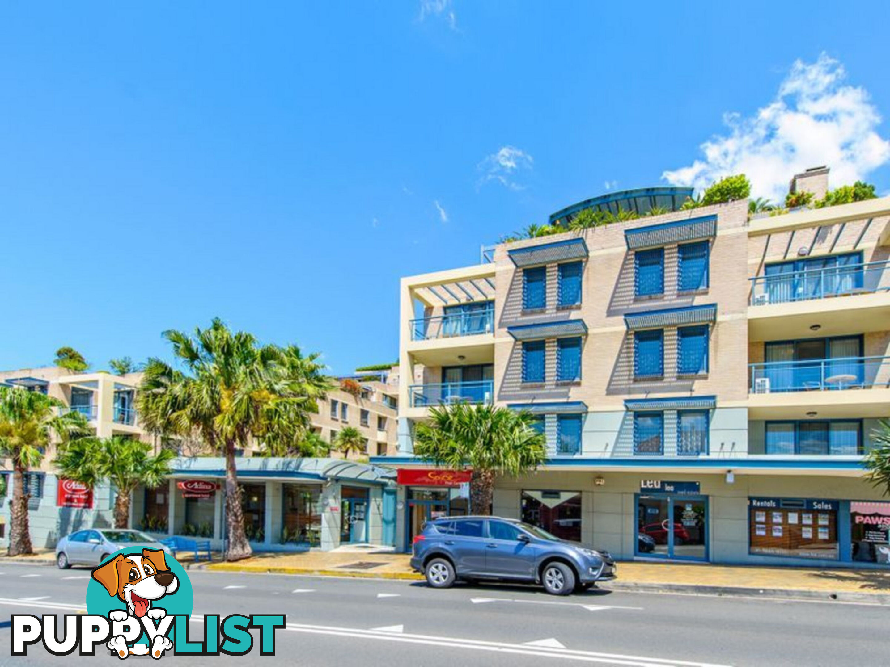 6/183 Coogee Bay Road COOGEE NSW 2034