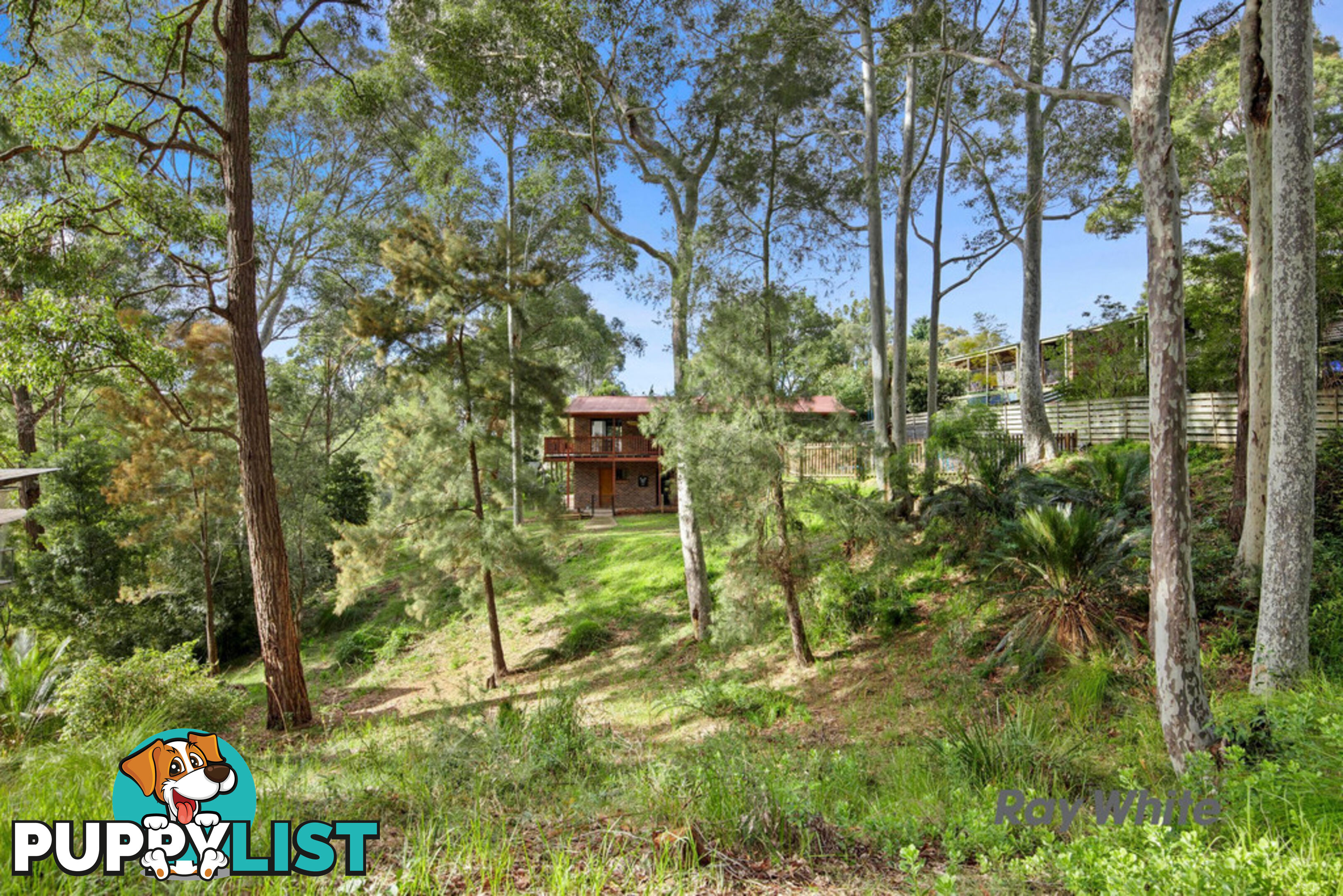 22 Elouera Close LILLI PILLI NSW 2536