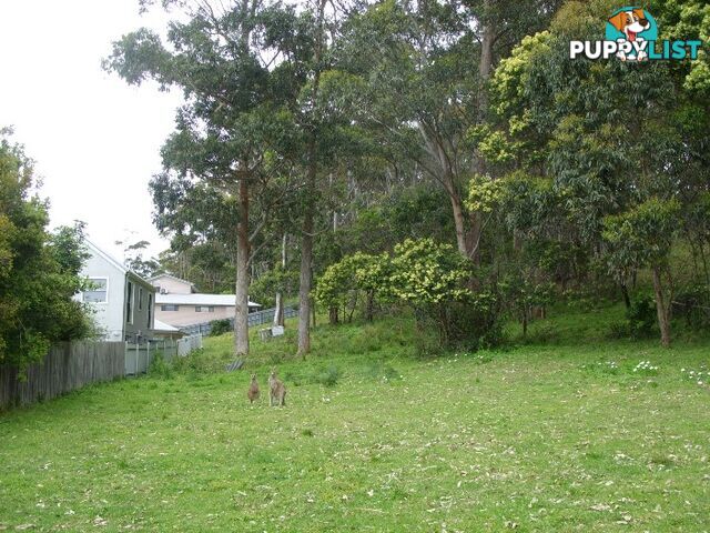 81 Sandy Place LONG BEACH NSW 2536