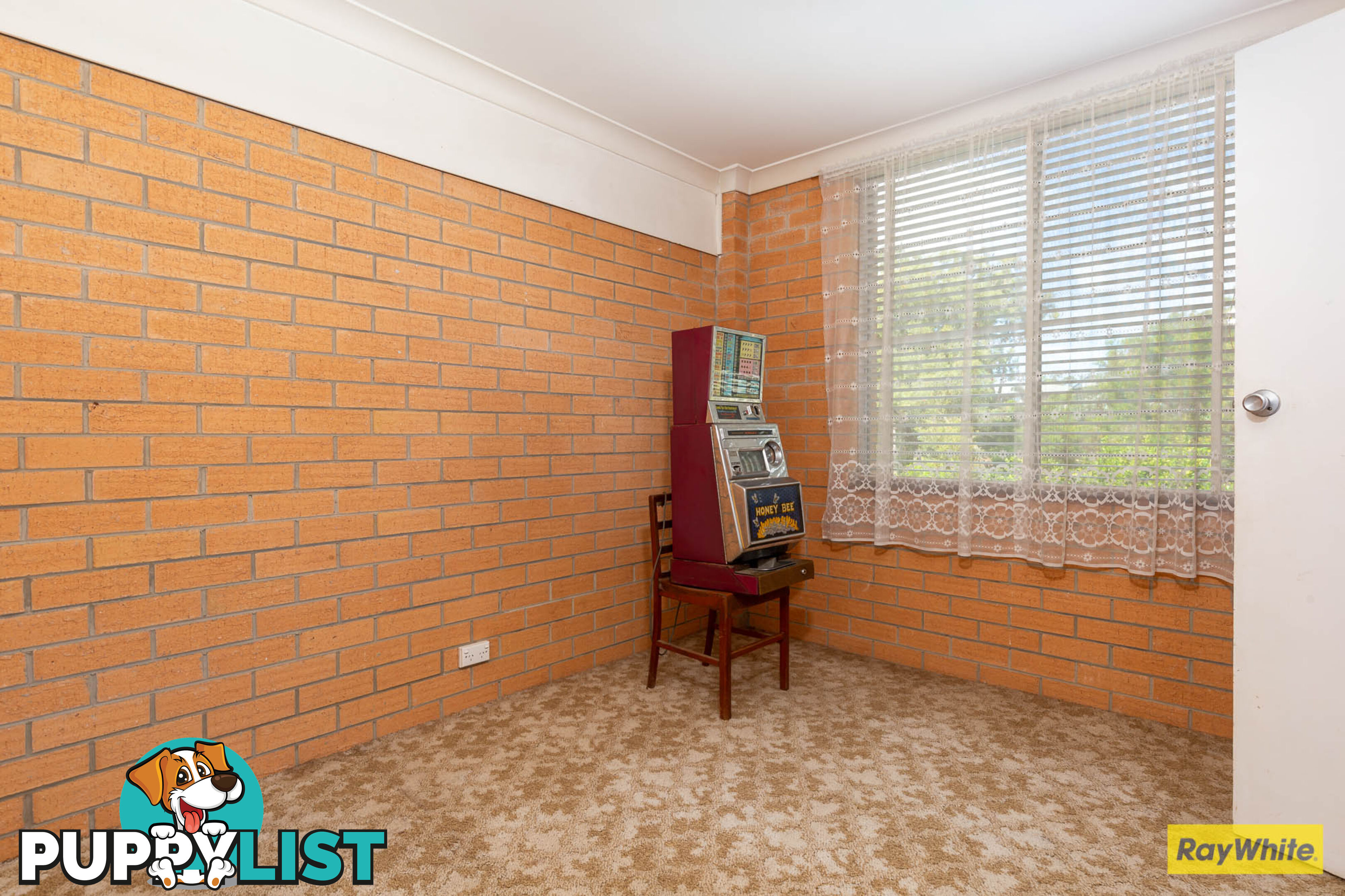 11 Currowan Street NELLIGEN NSW 2536