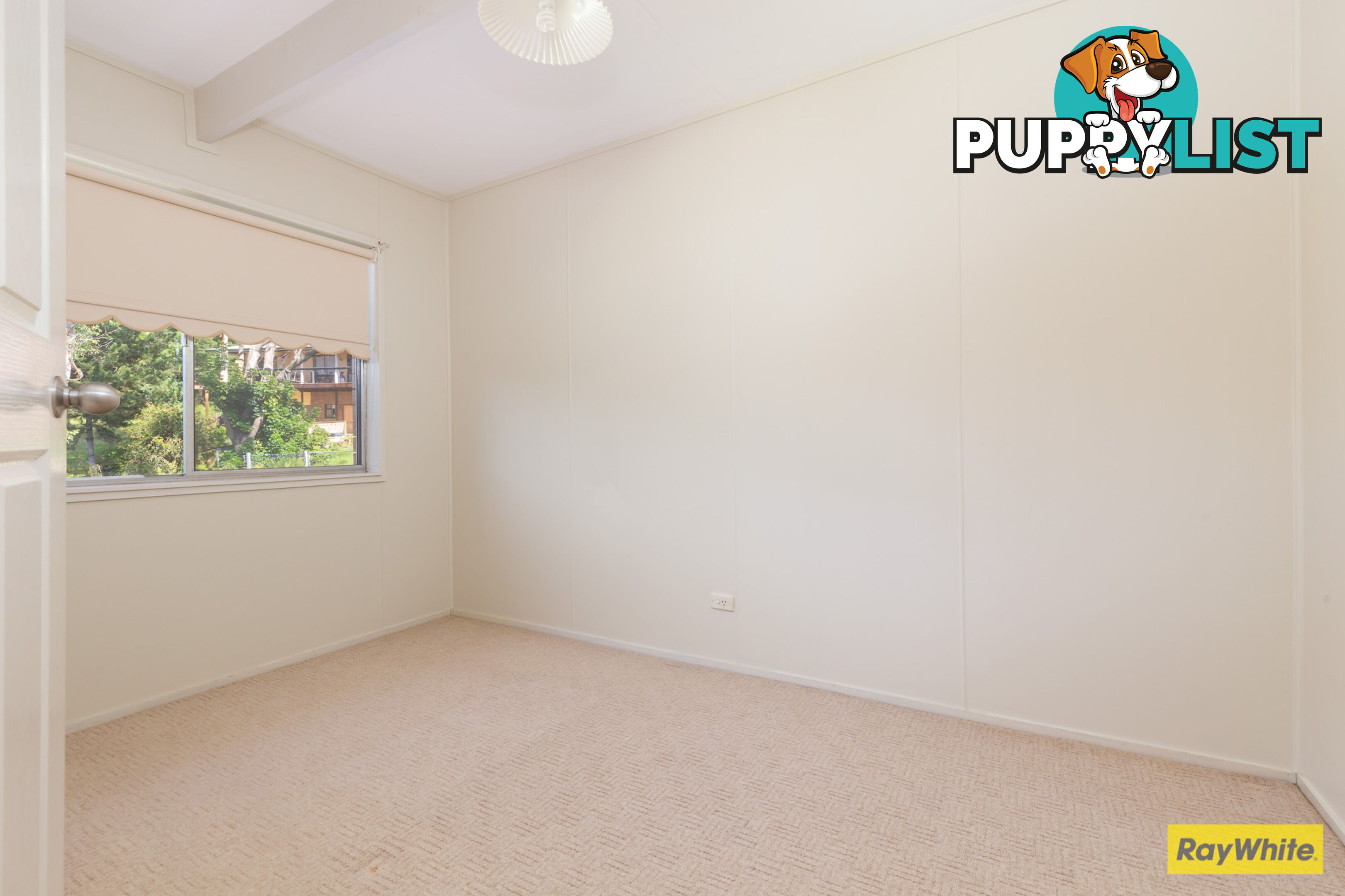 11 Currowan Street NELLIGEN NSW 2536