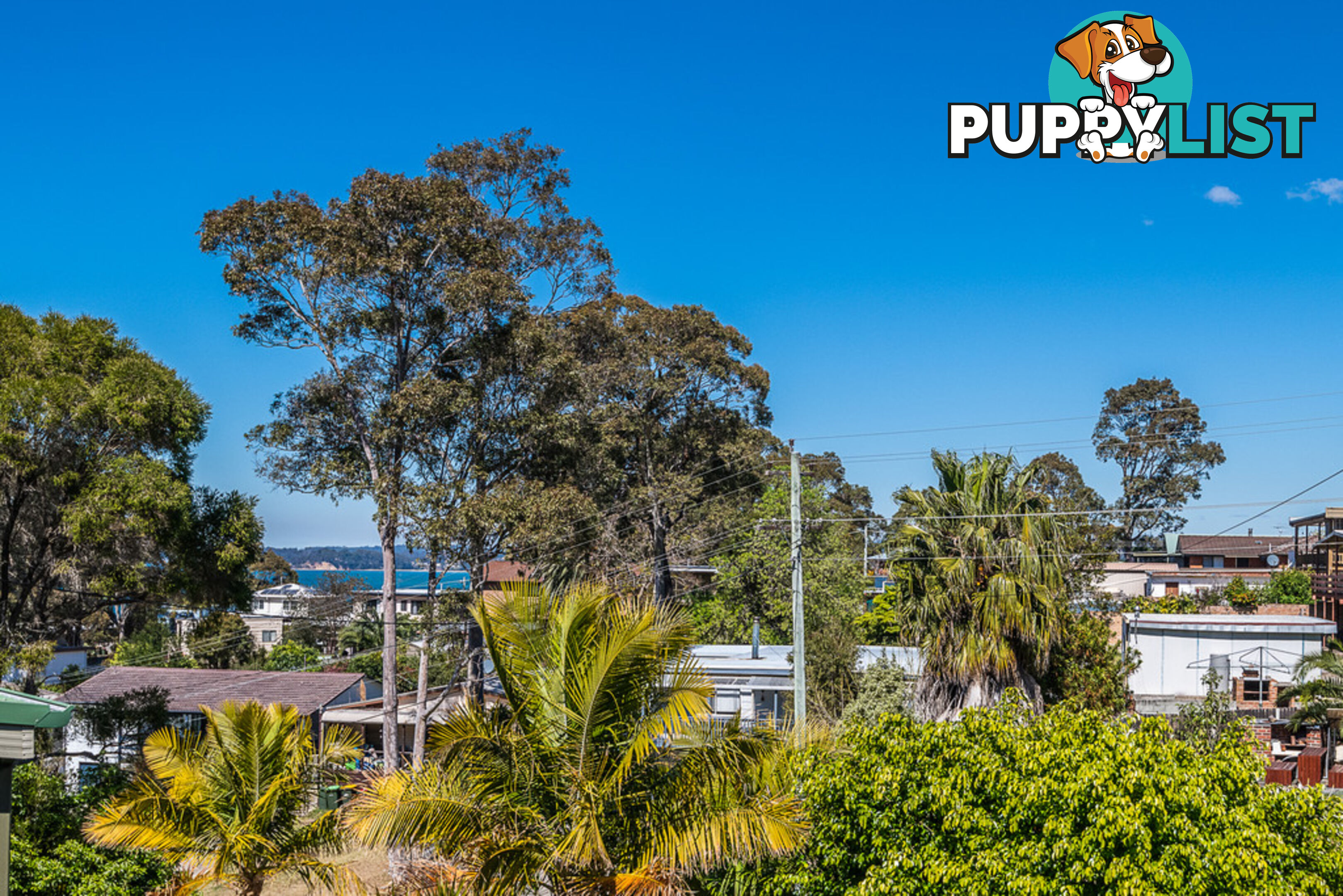 2 Wallarah Street SURFSIDE NSW 2536