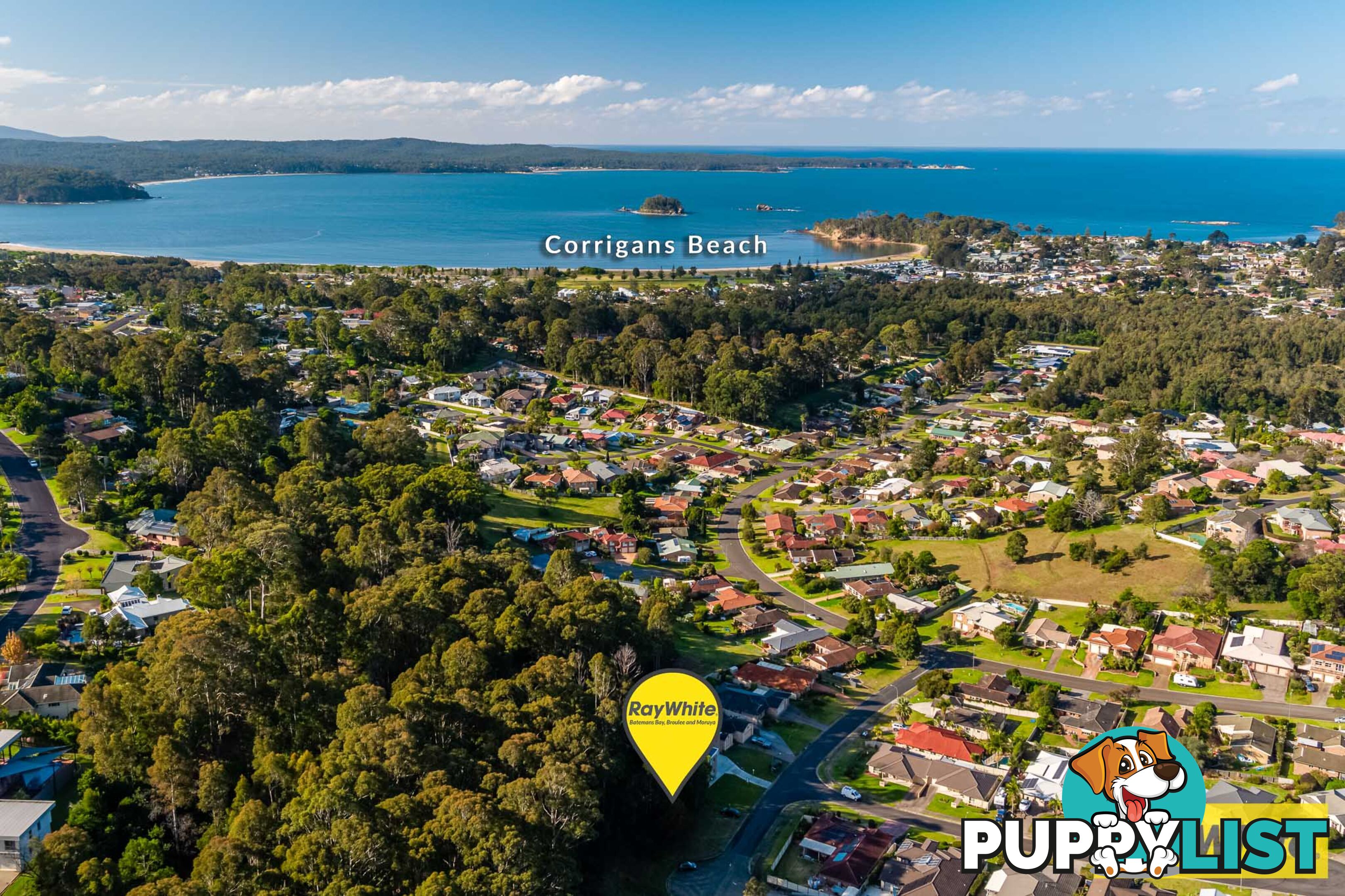 12 Correa Place CATALINA NSW 2536