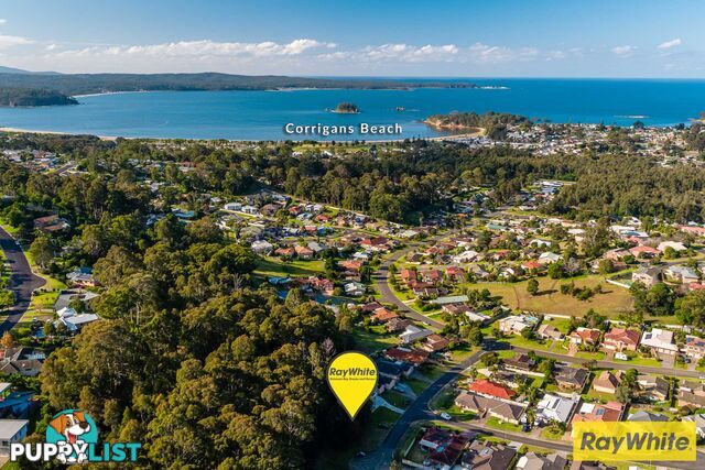 12 Correa Place CATALINA NSW 2536