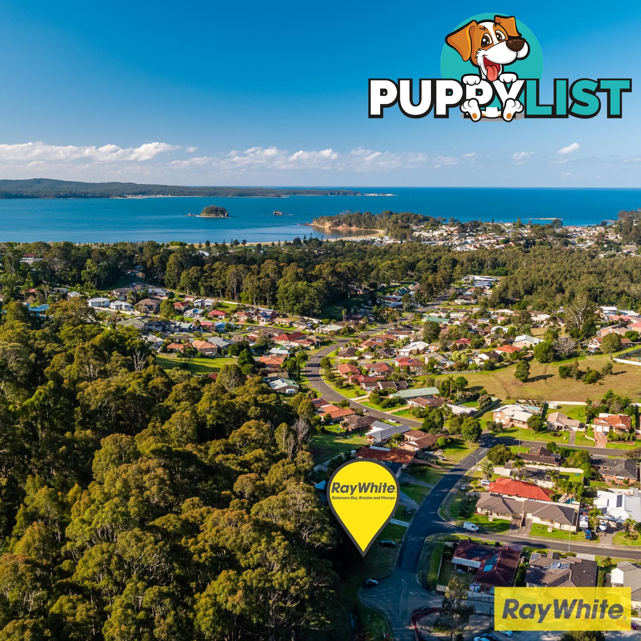 12 Correa Place CATALINA NSW 2536