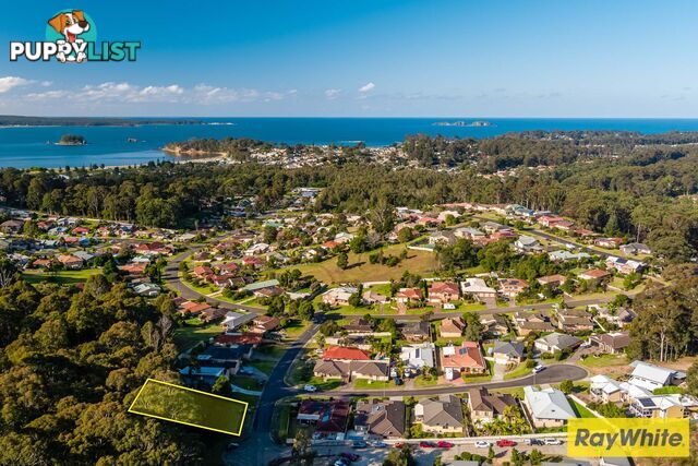 12 Correa Place CATALINA NSW 2536