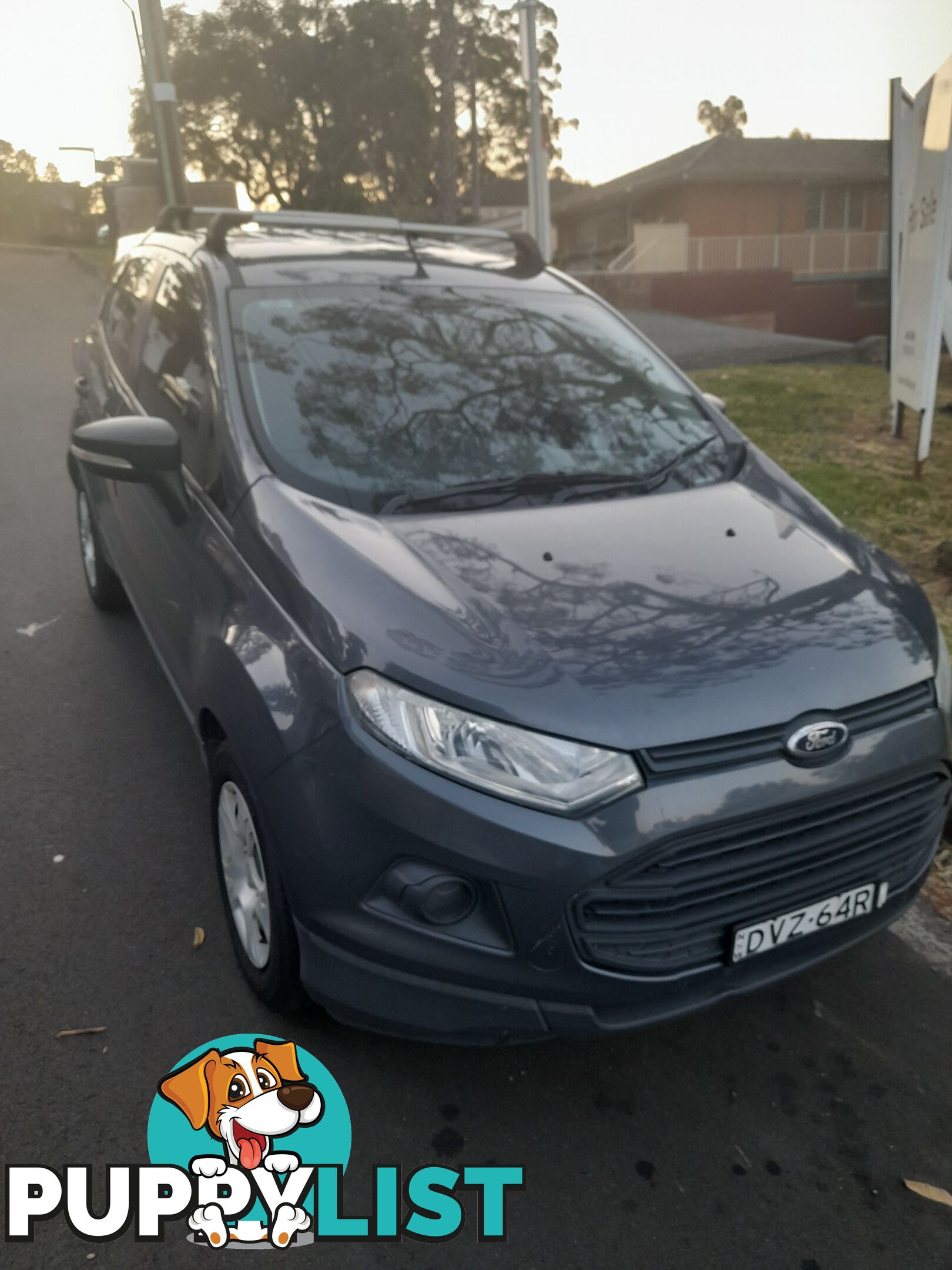 2015 Ford EcoSport Wagon Automatic