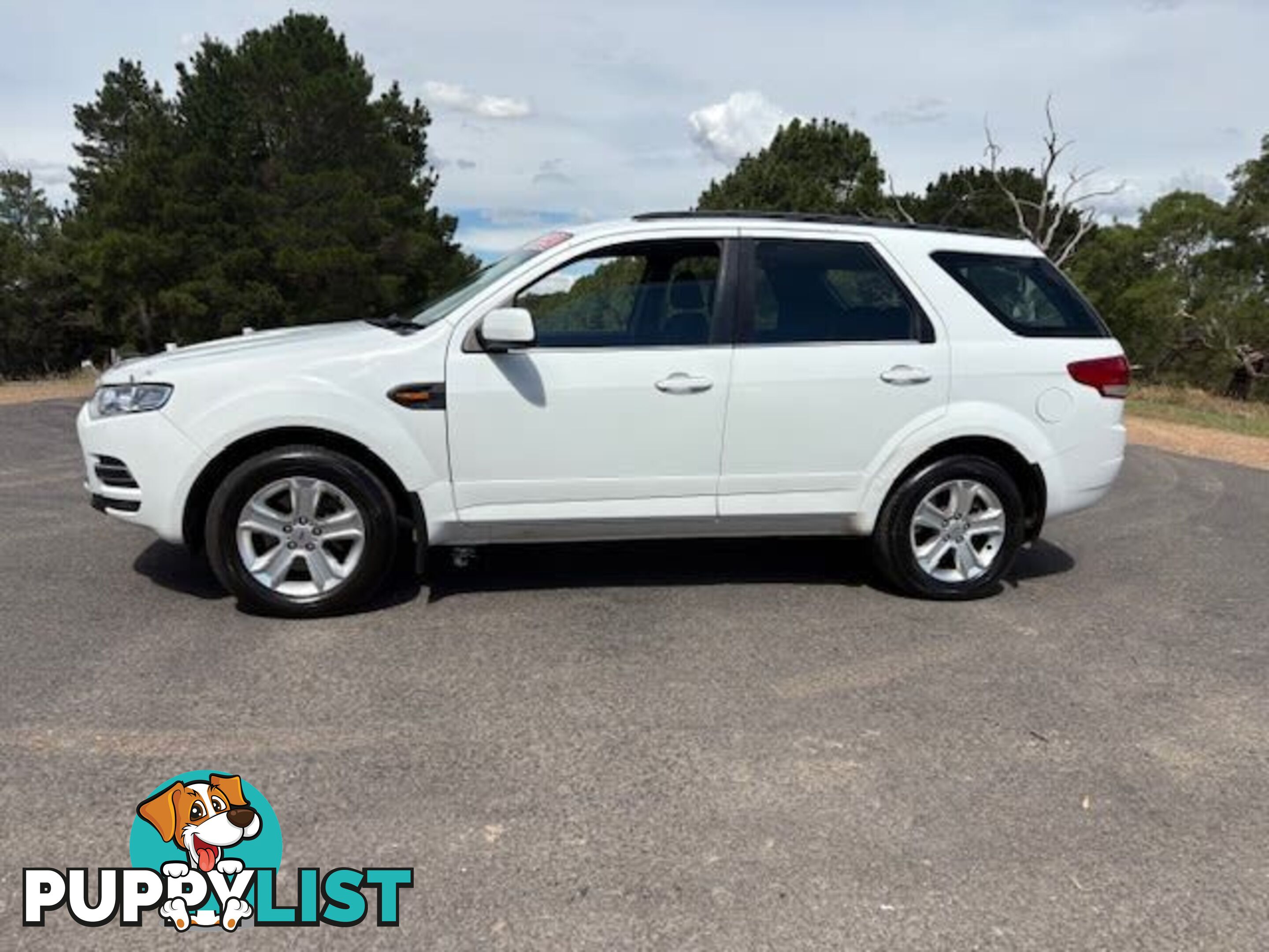 2010 FORD TERRITORY TX (RWD) SY MKII SUV, 4 DOORS, 5 SEATS