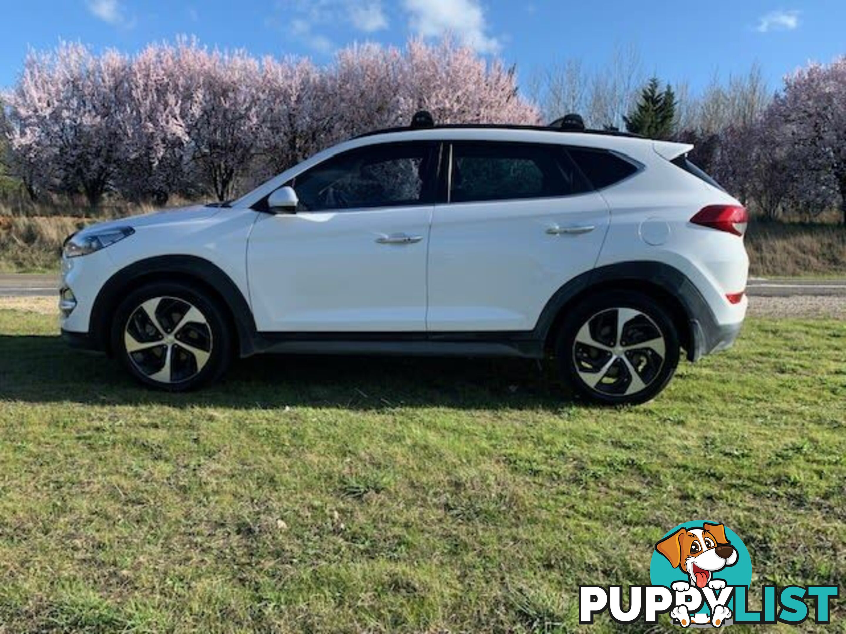 2015 HYUNDAI TUCSON HIGHLANDER (AWD) TLE SUV, 4 DOORS, 5 SEATS