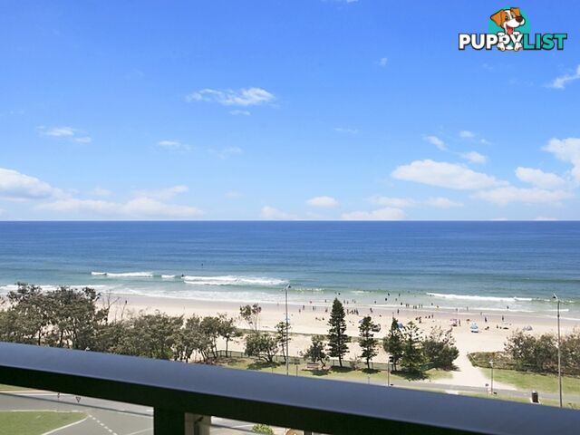 SURFERS PARADISE QLD 4217