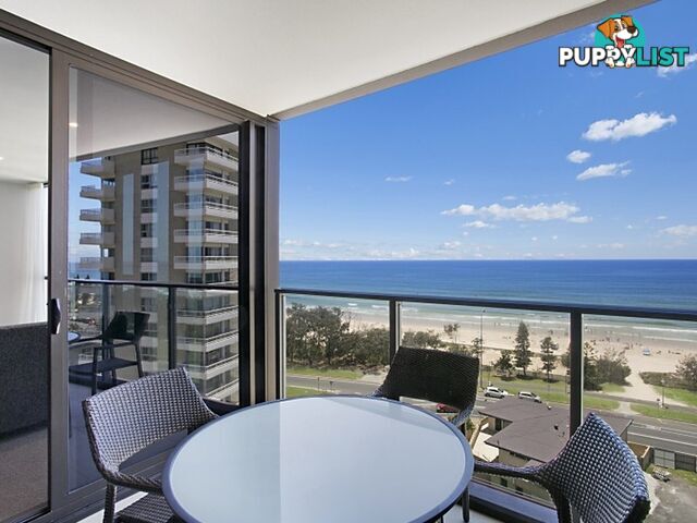 SURFERS PARADISE QLD 4217