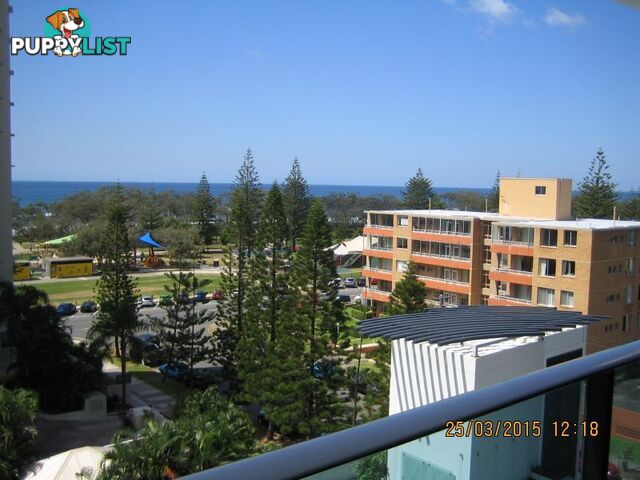 10505/1 Oracle Boulevard BROADBEACH QLD 4218