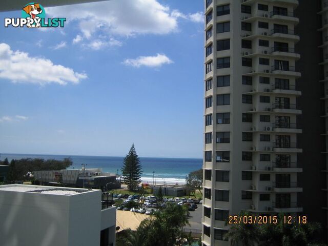 10505/1 Oracle Boulevard BROADBEACH QLD 4218