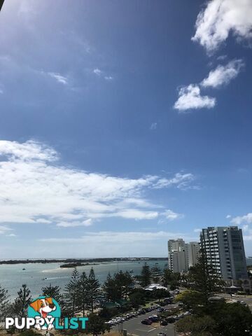 Apartment 908/386 Marine Parade LABRADOR QLD 4215