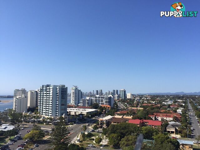 Apartment 908/386 Marine Parade LABRADOR QLD 4215