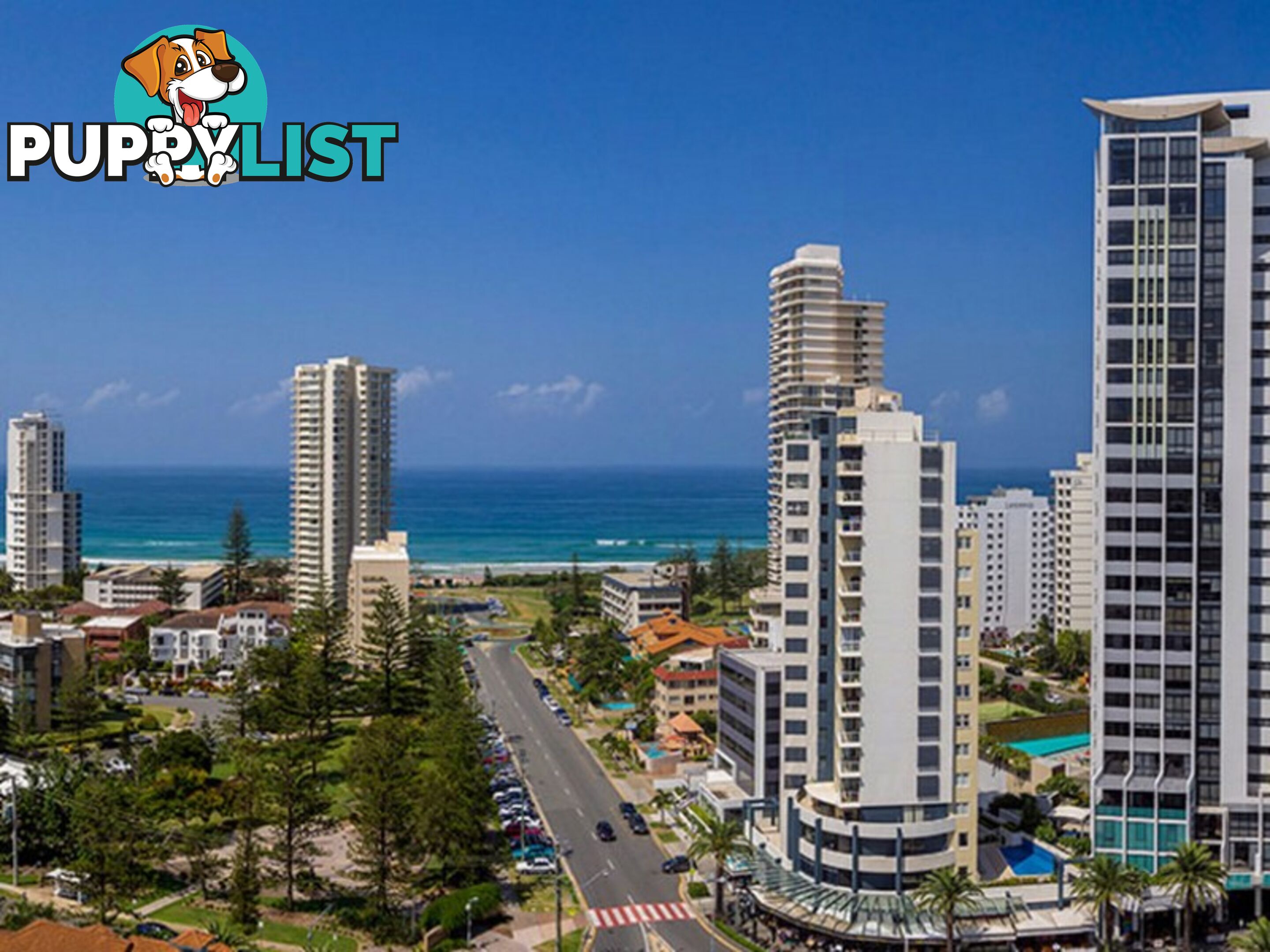 BROADBEACH QLD 4218