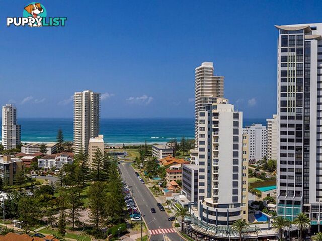 BROADBEACH QLD 4218