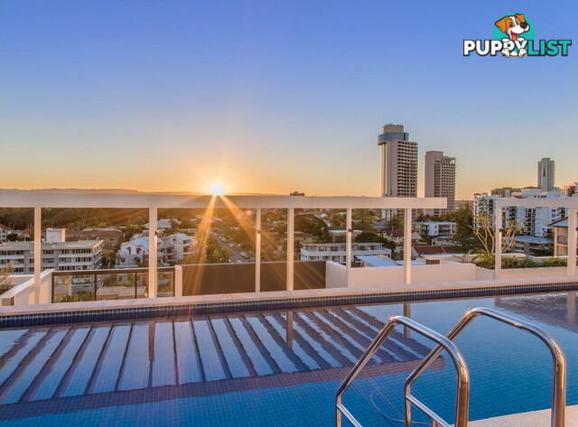 403 95 Old Burleigh Road Broadbeach QLD 4218