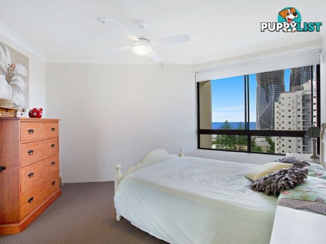 48/2890 Gold Coast Highway SURFERS PARADISE QLD 4217