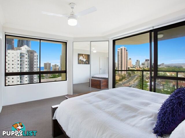 48/2890 Gold Coast Highway SURFERS PARADISE QLD 4217