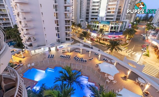 2602 24-26 Queensland Avenue Broadbeach QLD 4218