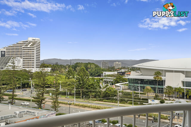 2602 24-26 Queensland Avenue Broadbeach QLD 4218