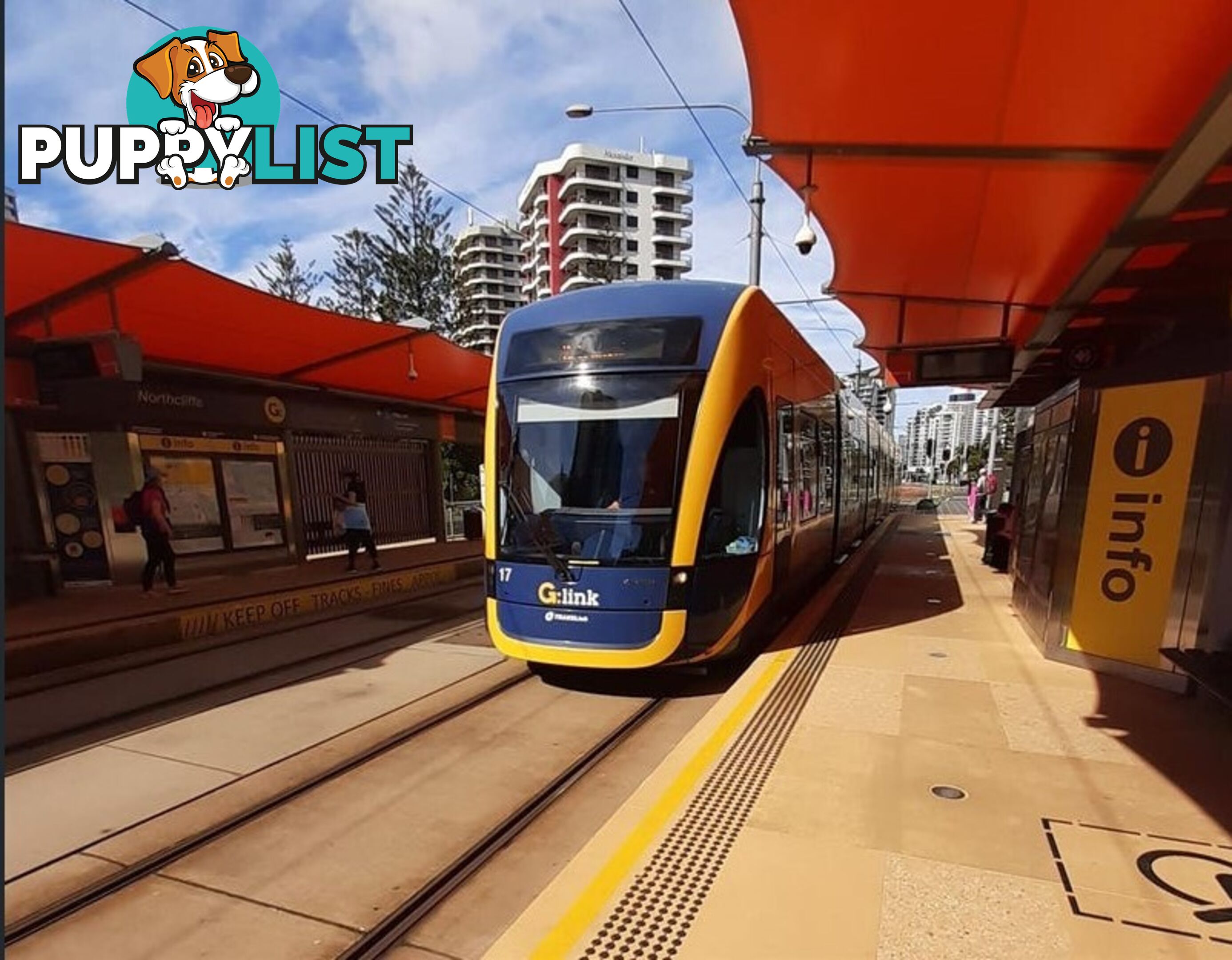 16 12 Monte Carlo Avenue Surfers Paradise QLD 4217